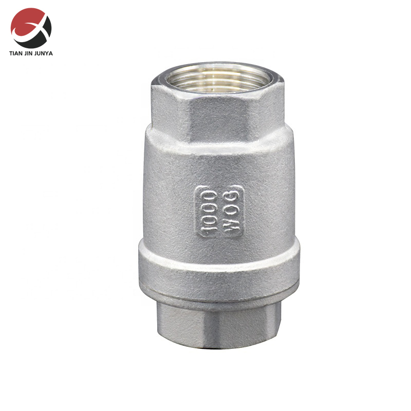 不鏽鋼二片(piàn)式彈簧止回閥(fá)