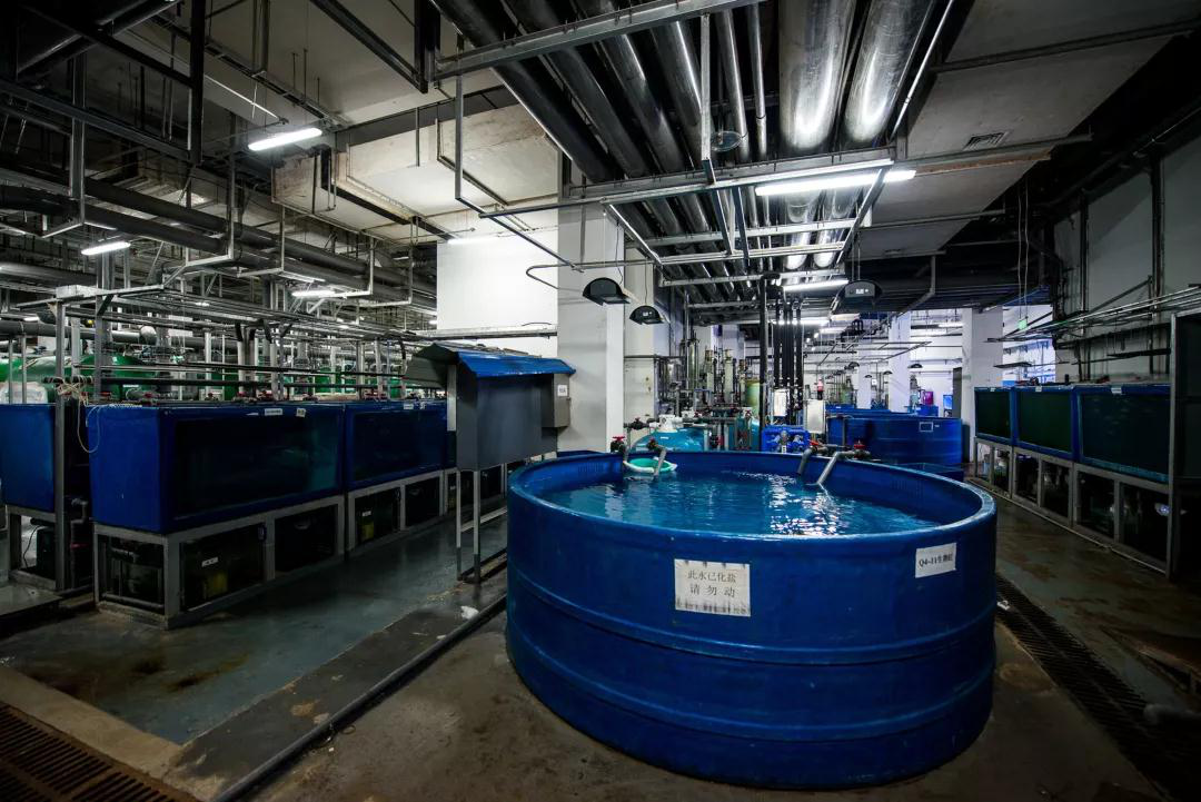 蠕(ru)動泵用于克(ke)服三種廢水(shuǐ)問題